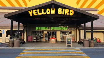 Backdrop to the movie "Yellow Bird" #743579