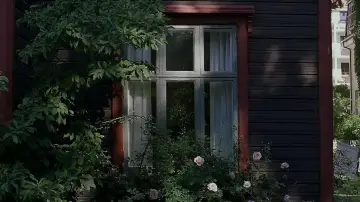 Backdrop to the movie "Sentimental Value" #511013