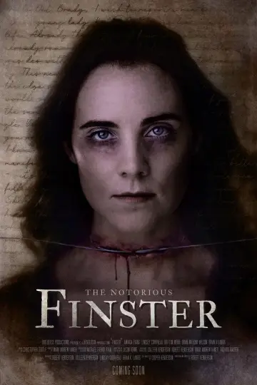 Poster to the movie "The Notorious Finster" #1119240