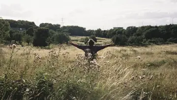 Backdrop to the movie "Bird" #610265