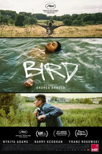 Poster to the movie "Bird" #982916