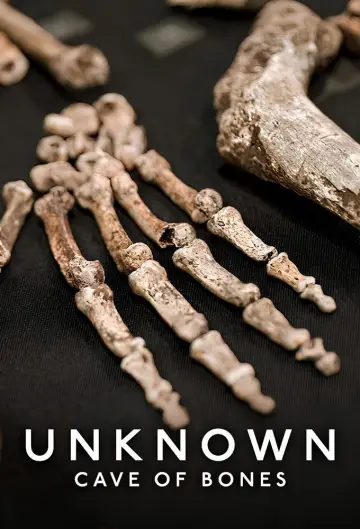Poster to the movie "Unknown: Cave of Bones" #1186456