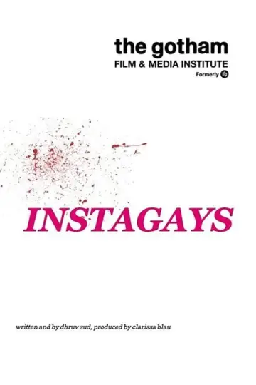 Poster to the movie "Instagays" #1112651