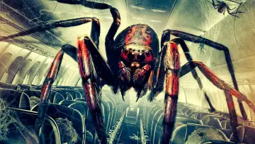 Backdrop to the movie "Spiders on a Plane" #1121161