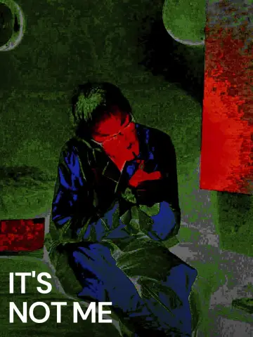 Poster to the movie "It’s Not Me" #884615