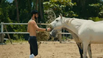 Backdrop to the movie "Pedro Had a Horse" #842250