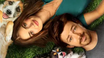 Backdrop to the movie "Puppy Love" #675020