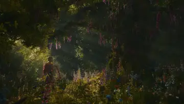 Backdrop to the movie "The Magic Faraway Tree" #815989