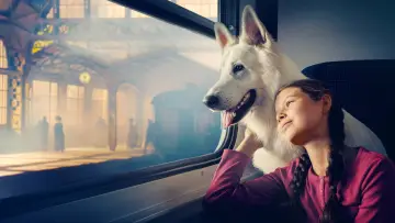 Backdrop to the movie "Lampo, the Travelling Dog" #1095402