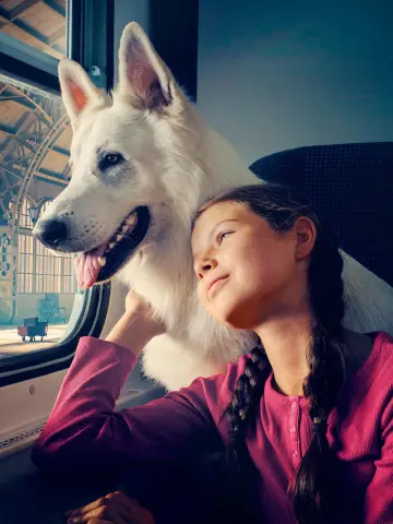 Poster to the movie "Lampo, the Travelling Dog" #1095412