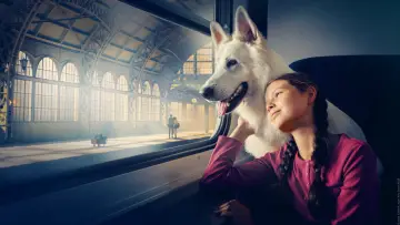 Backdrop to the movie "Lampo, the Travelling Dog" #453899
