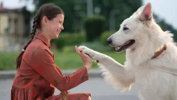 Backdrop to the movie "Lampo, the Travelling Dog" #504148