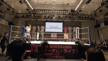 Backdrop to the movie "Runaway Wrestler" #1113935