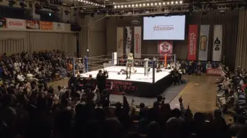 Backdrop to the movie "Runaway Wrestler" #1113941