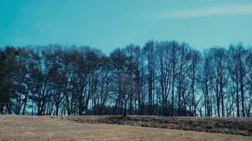 Backdrop to the movie "Evil Does Not Exist" #504024