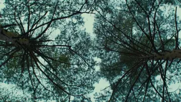 Backdrop to the movie "Evil Does Not Exist" #756351