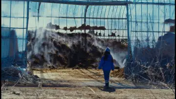 Backdrop to the movie "Evil Does Not Exist" #756363