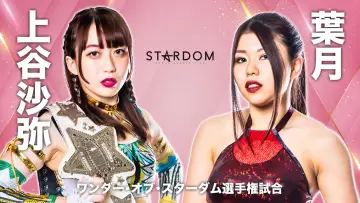 Backdrop to the movie "Stardom Triangle Derby I ~Championship Battle~" #963647