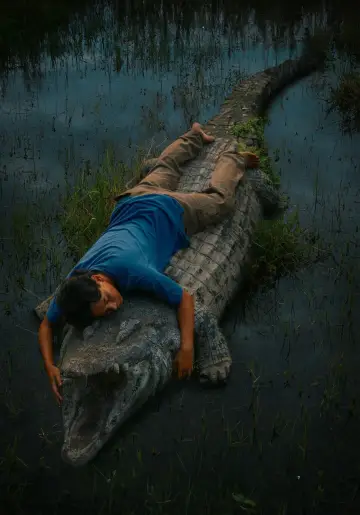 Poster to the movie "Crocodile Tears" #812370