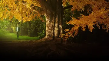 Backdrop to the movie "Silent Friend" #910446