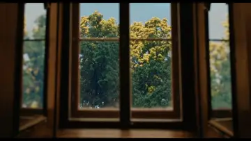 Backdrop to the movie "Silent Friend" #962628
