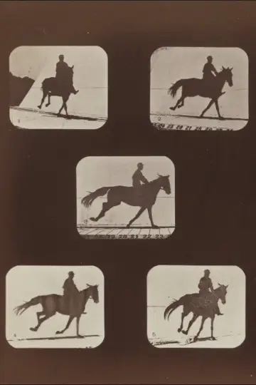 Poster to the movie "The Horse in Action" #982814