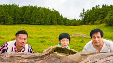 Backdrop to the movie "Panda Plan" #572752