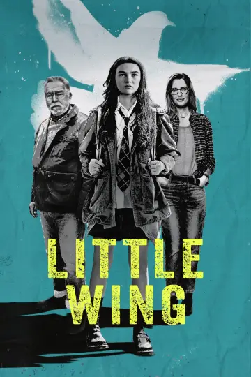 Poster to the movie "Little Wing" #1016127