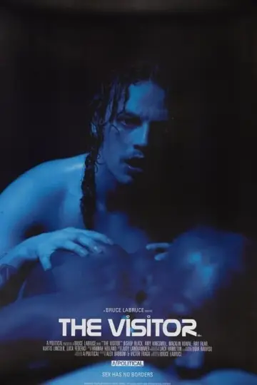 The Visitor poster