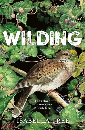 Poster to the movie "Wilding" #1115511