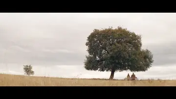 Backdrop to the movie "Tarika" #1184577