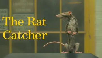Backdrop to the movie "The Rat Catcher" #344461