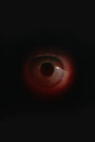 Safe/Sound poster