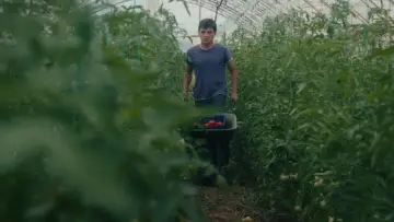 Backdrop to the movie "Greenhouse" #1107561