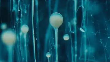 Backdrop to the movie "SPERMWORLD" #443192