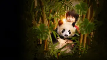 Backdrop to the movie "Moon the Panda" #976427