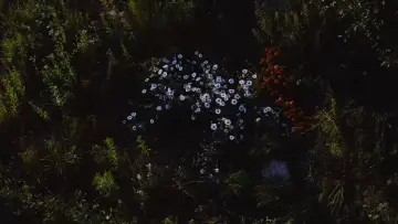 Backdrop to the movie "Wild Feast" #1076686
