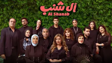 The Shanabs poster