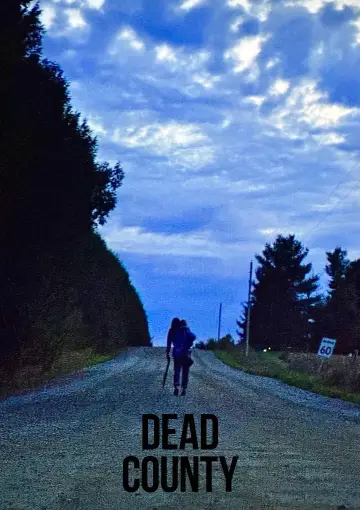 Poster to the movie "Last County" #974157