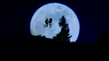 Backdrop to the movie "Steven Spielberg, the “New Hollywood” Prodigy" #855918
