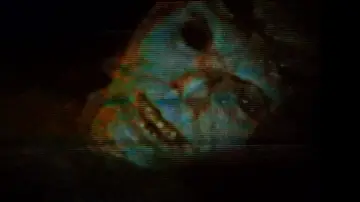 Backdrop to the movie "V/H/S/Beyond" #626048