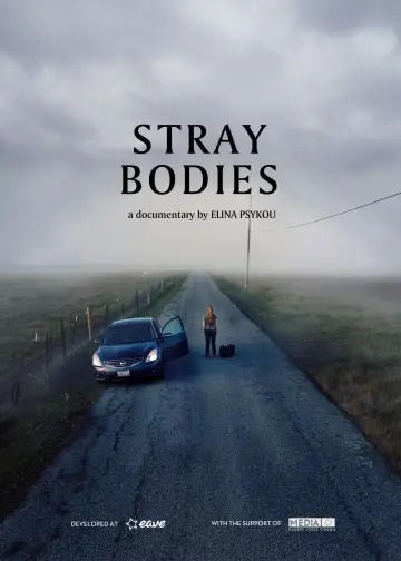 Poster to the movie "Stray Bodies" #1015624