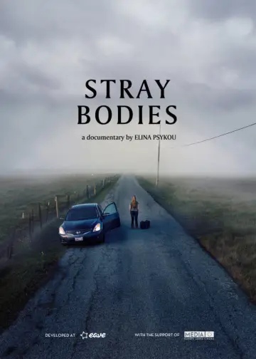 Poster to the movie "Stray Bodies" #366618