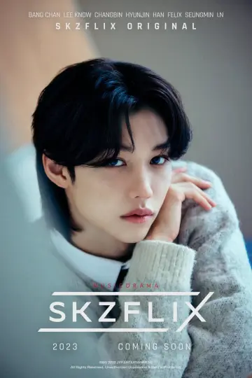 SKZFLIX (ROCK-STAR) poster