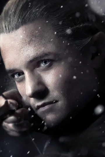 Poster to the movie "The Hobbit: The Battle of the Five Armies" #798605