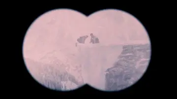 Backdrop to the movie "The Grand Budapest Hotel" #651457