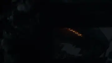 Backdrop to the movie "Godzilla" #613115