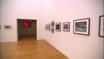 Backdrop to the movie "A Ghibli Artisan - Kazuo Oga Exhibition - The One Who Drew Totoro