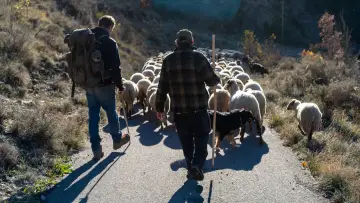 Backdrop to the movie "Living With Wolves" #786864