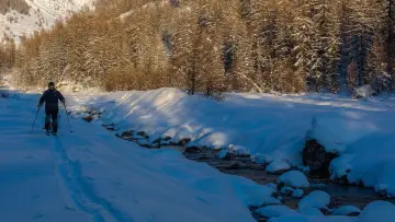 Backdrop to the movie "Living With Wolves" #786868